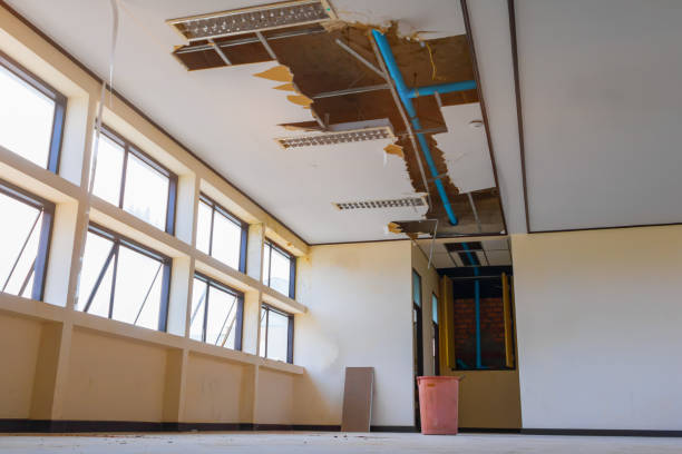  Rancho Palos Verdes, CA Water damage restoration Pros