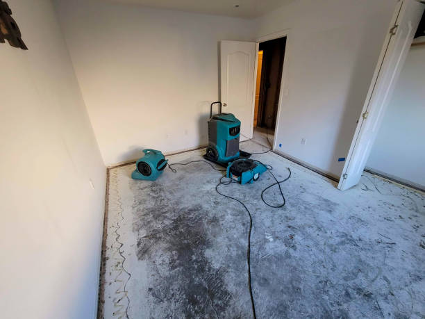 Reliable Rancho Palos Verdes, CA Water damage restoration Solutions