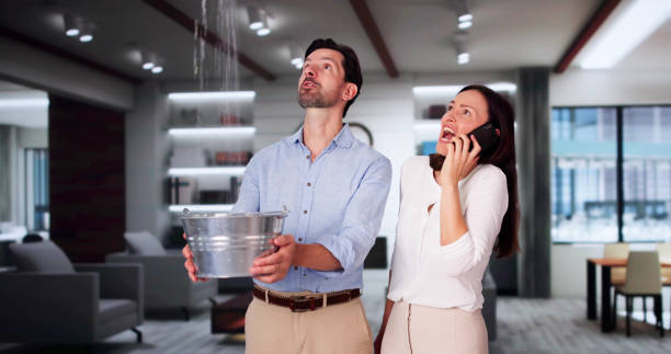 Water damage restoration experts in Rancho Palos Verdes, CA