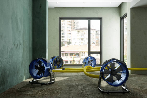 24/7 water damage repair in Rancho Palos Verdes, CA